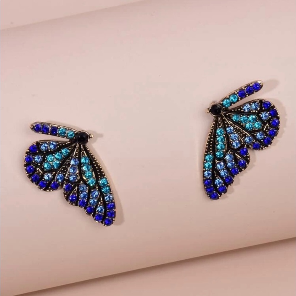 EARRINGS NWOT